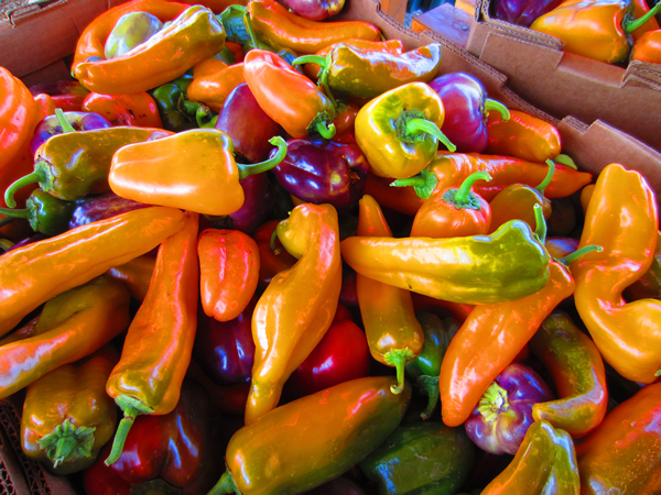 Sweet Peppers and Chiles
